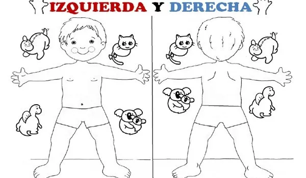 ¡BIENVENIDOS AL CURSO "CAZADORES DE LATERALIDAD"!